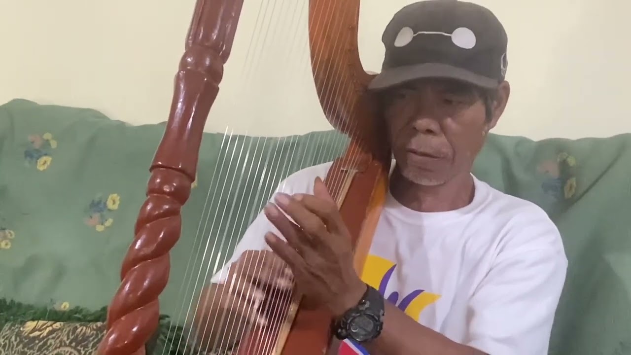 Three local Harpist showcase their talent. 
