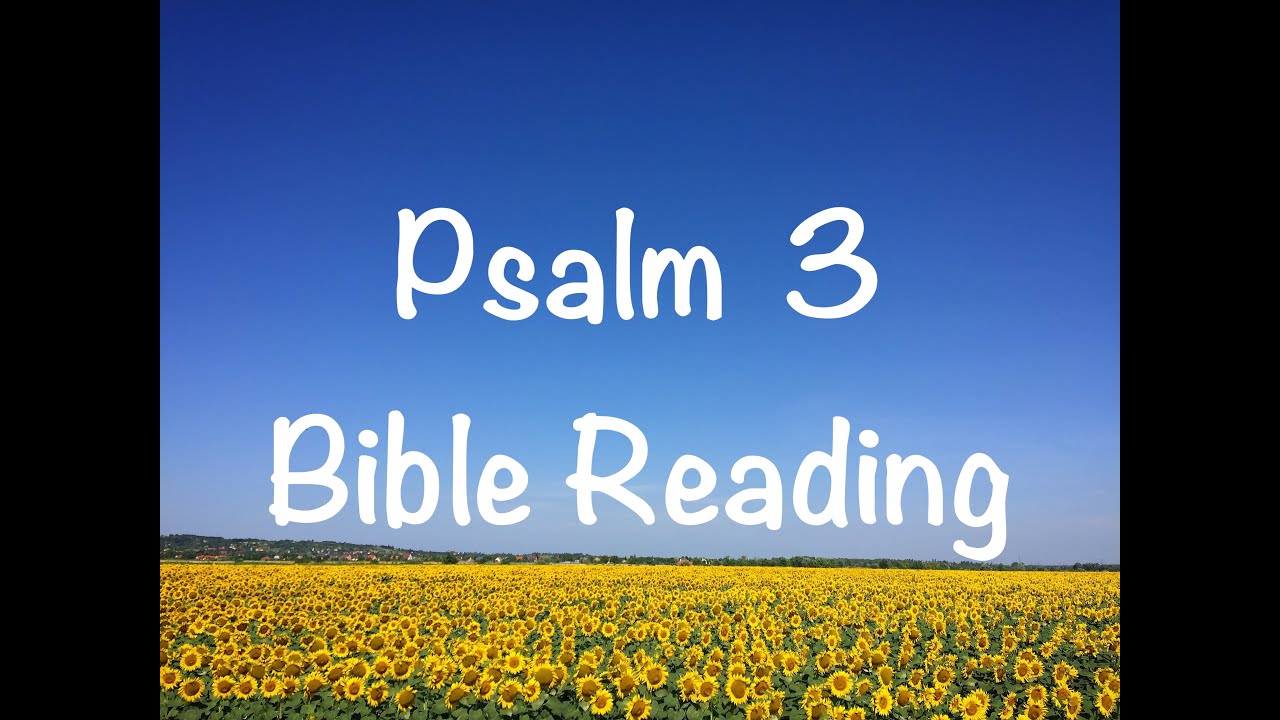 Psalm 3 - NIV Version (Bible Reading with Scripture/Words)