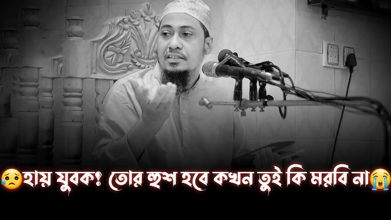 😭আফসোস যুবক তোর হুশ হবে কখন।আনিসুর রহমান আশরাফি কান্নার ওয়াজ।। Anisur Rahman Asrafi New Waz 2023