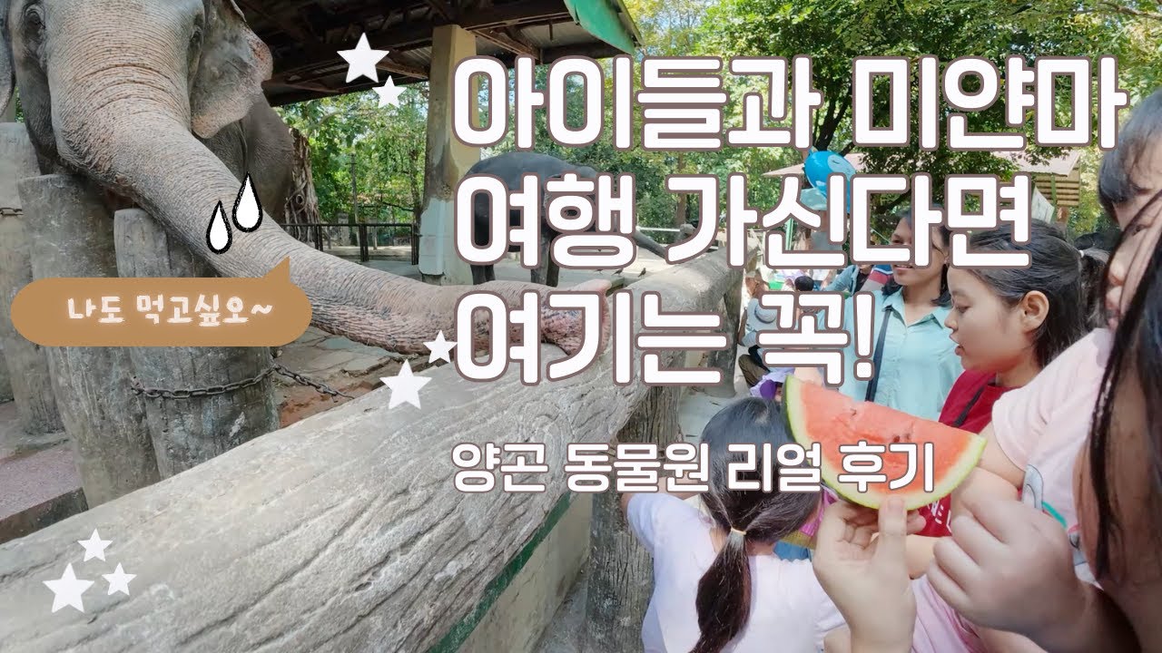 아이들과 미얀마 여행 가신다면 여기는 꼭! 양곤 동물원 리얼 후기