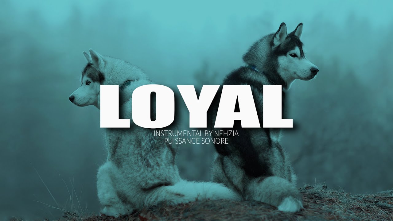 [Free] Melodic Trap Type Beat "Loyal" Instru Rap Lourd Piano Instrumental Melodieuse 2023