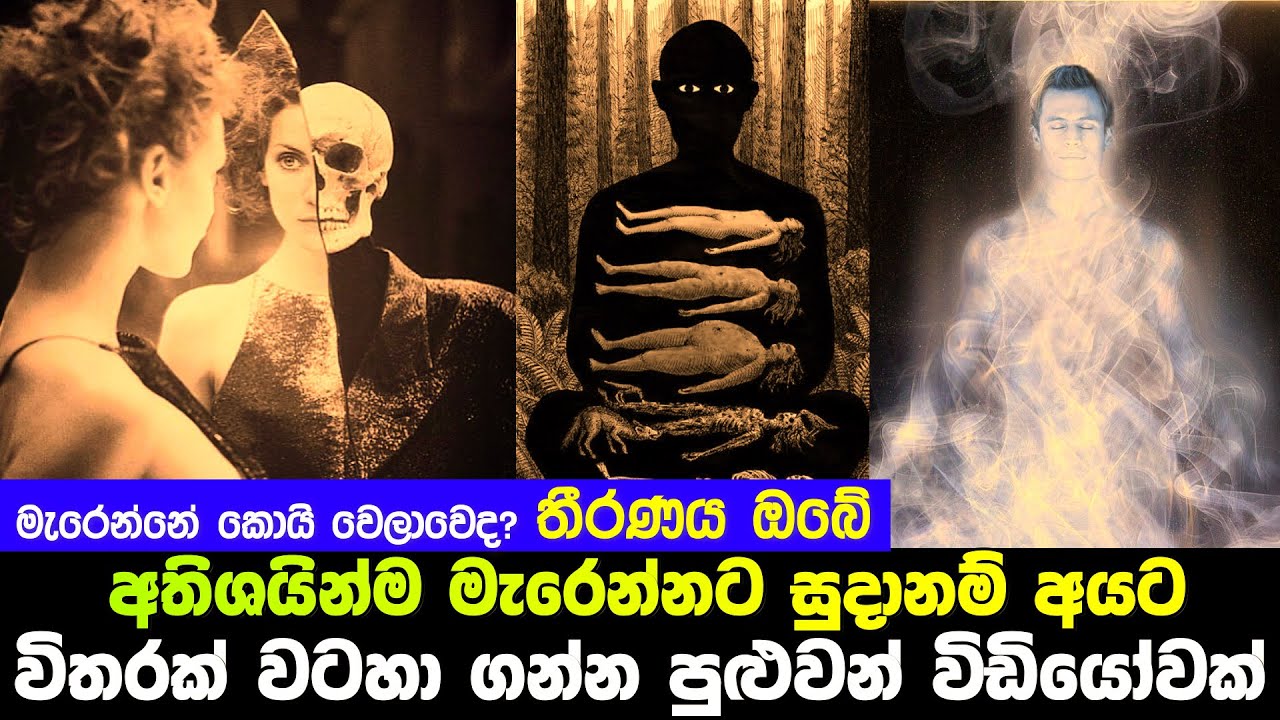 අතිශයින්ම මැරෙන්නට සුදානම් අයට විතරක් වටහා ගන්න පුලුවන් විඩියෝවක්