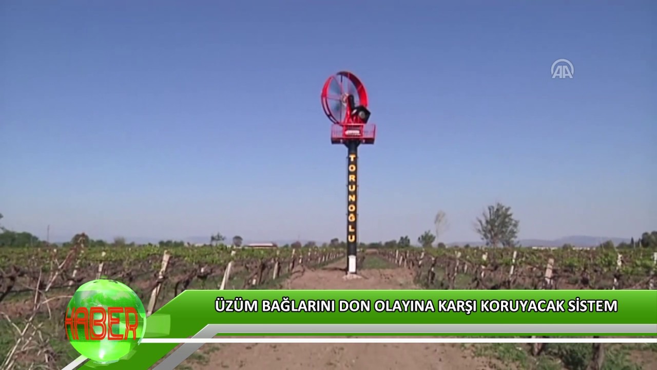 Manisa'da 