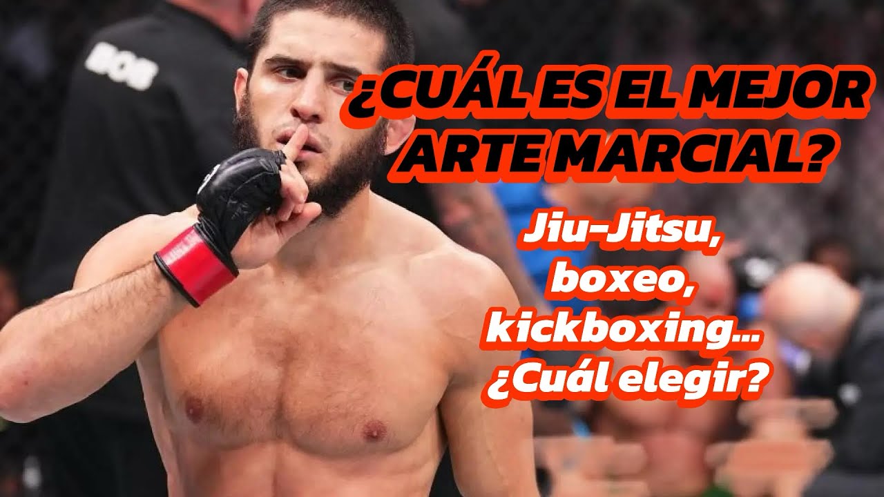 ¿CUÁL ES EL MEJOR ARTE MARCIAL?🤼🔥Jiujitsu, boxeo, kick boxing, mma…🔥🥊
