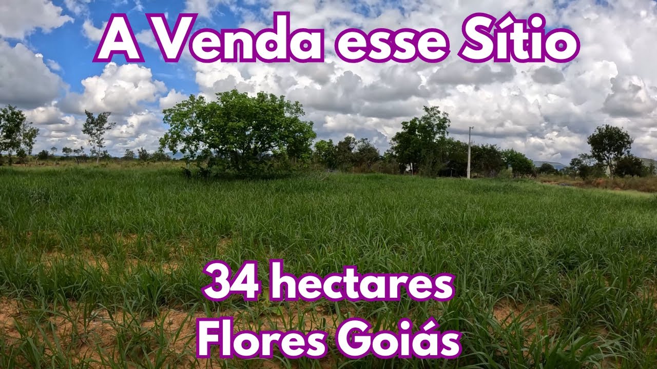 A Venda esse Sítio de 34 hectares - Flores Goiás