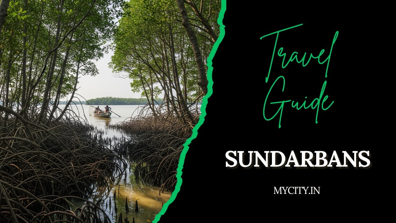 Sundarbans - City Travel Guide - mycity.in