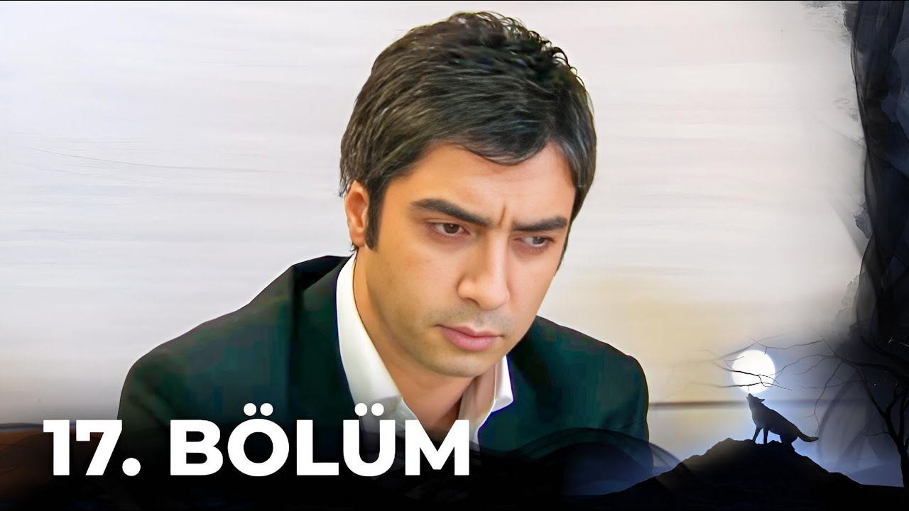 Kurtlar Vadisi Pusu - 17. B&ouml;l&uuml;m FULL HD