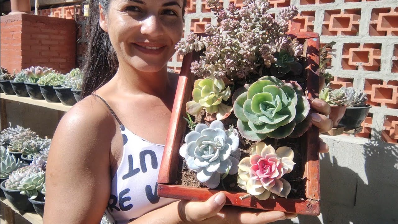 mostrando mas um pouco das plantinhas do cantinho do Dani