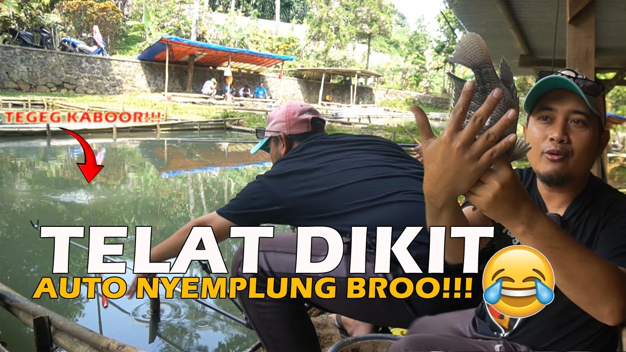 DI LUAR NURUL BRO, TARIKAN NILA BIKIN TEGEG SAKTI LARI!!! 🤣🤣🤣