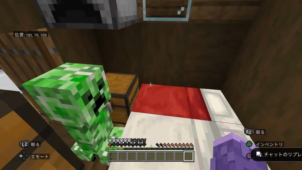 《マイクラ》自分の事よな？前者？後者？それとも...？