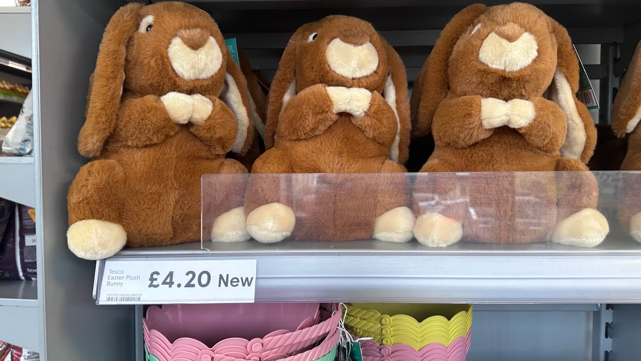 Tesco Come shop with me | UK Supermarket Prices