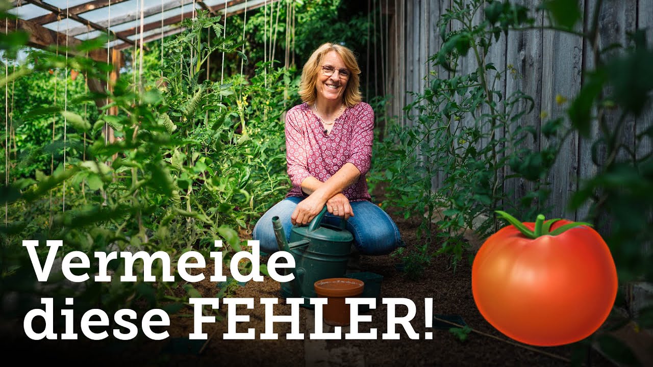 Die 3 häufigsten Fehler rund ums Gießen der Tomaten | Wie kann man sie vermeiden? 🍅🌱