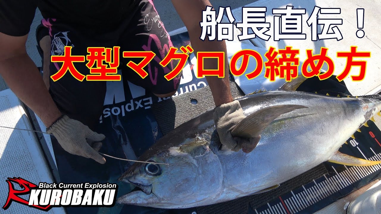 釣った大型マグロの締め方〆 船長さん直伝！Tuna cutting