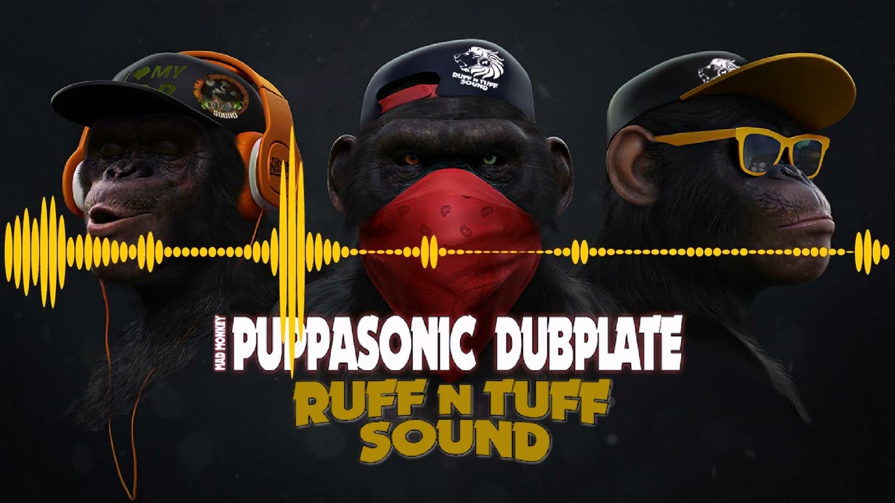 Puppasonic  Mad Monkey  - Dubplate (2021)