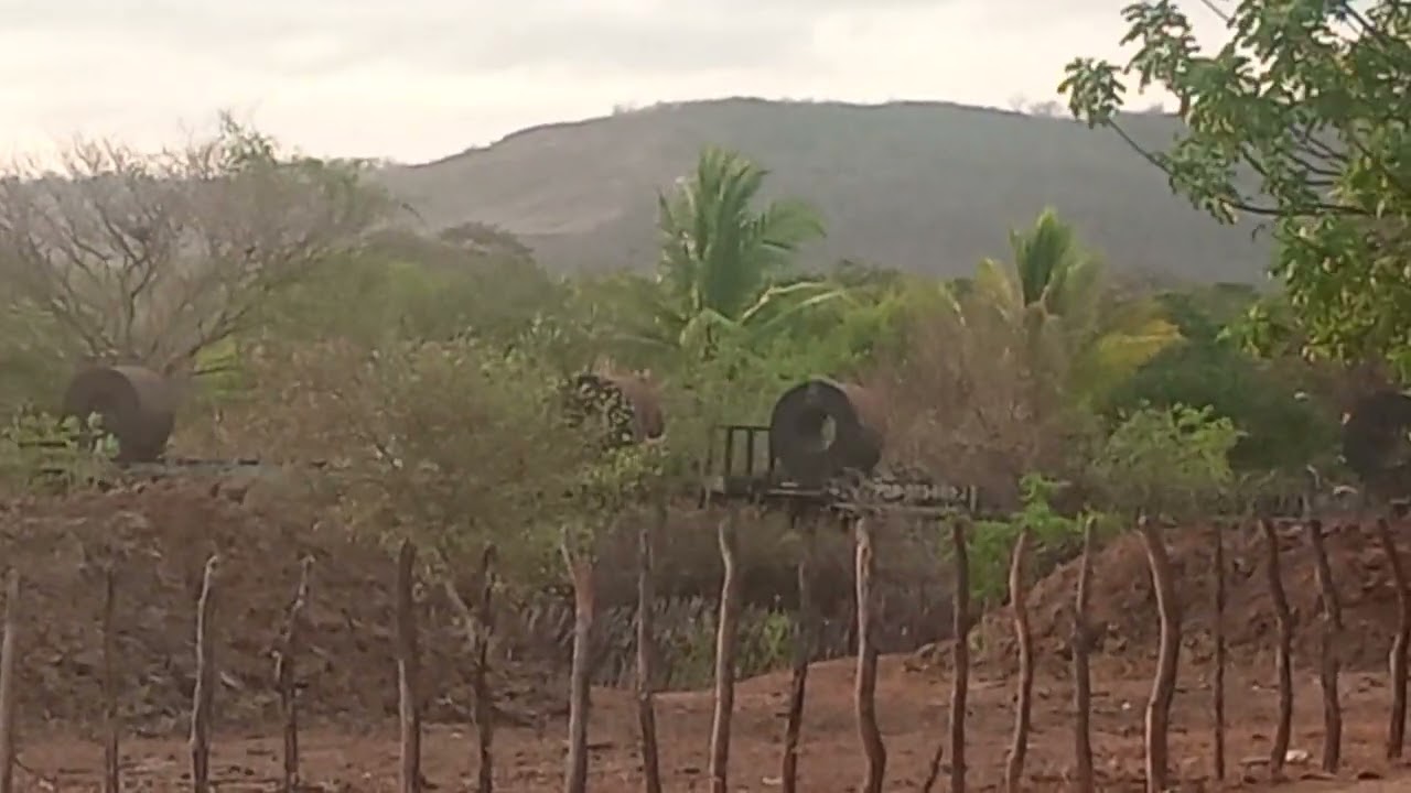 alco no comando com dupla de GM trem bobineiro. 30/12/25