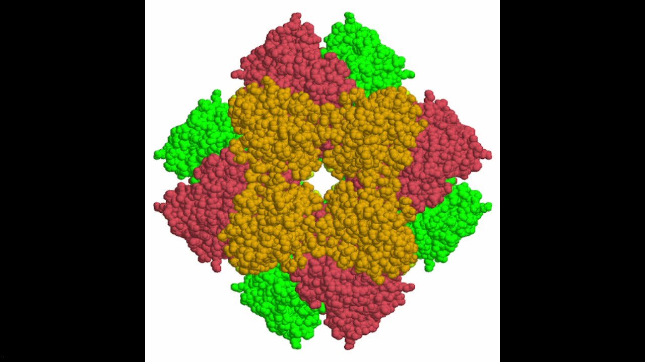 RuBisCO: The World's First Enzyme (Full Video)