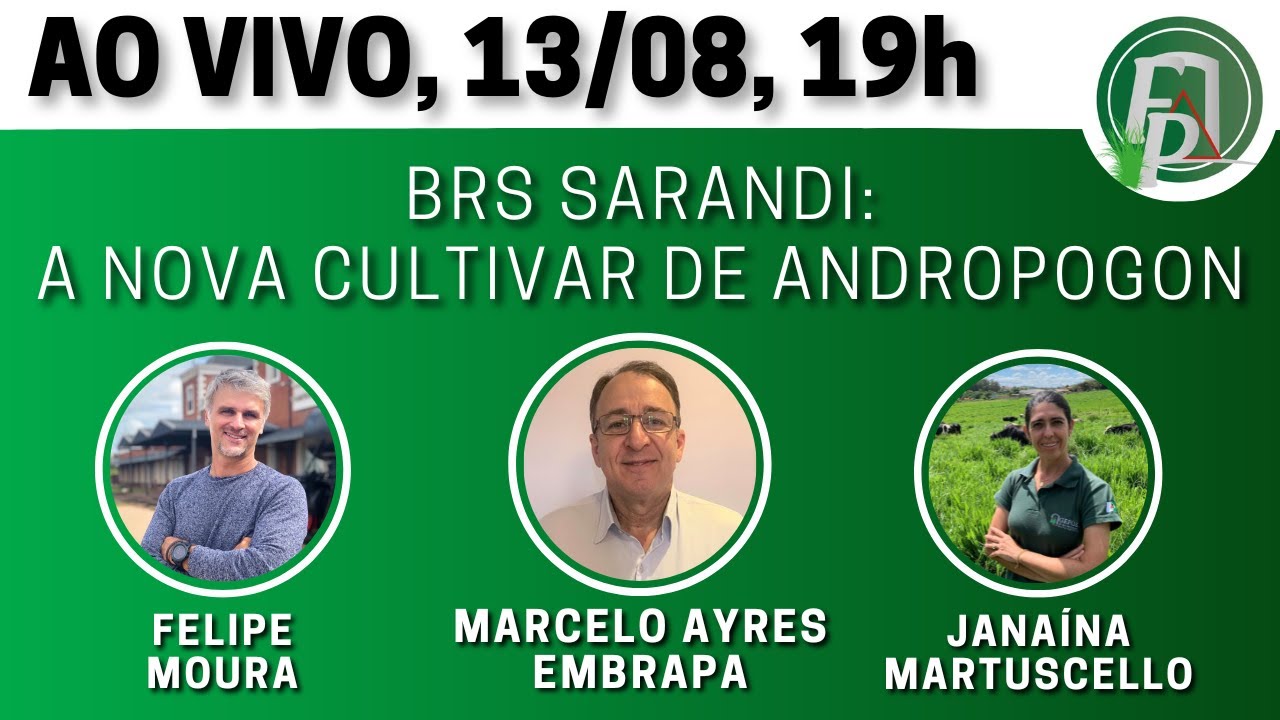 BRS Sarandi: A nova cultivar de Andropgon!