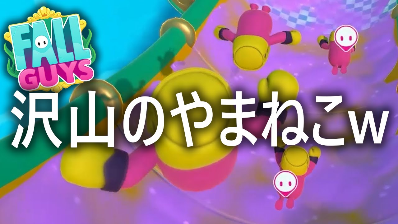【スクワッド】やまねこ４匹で勝ちまくり!!!【フォールガイズ/FallGuys】【SS3】