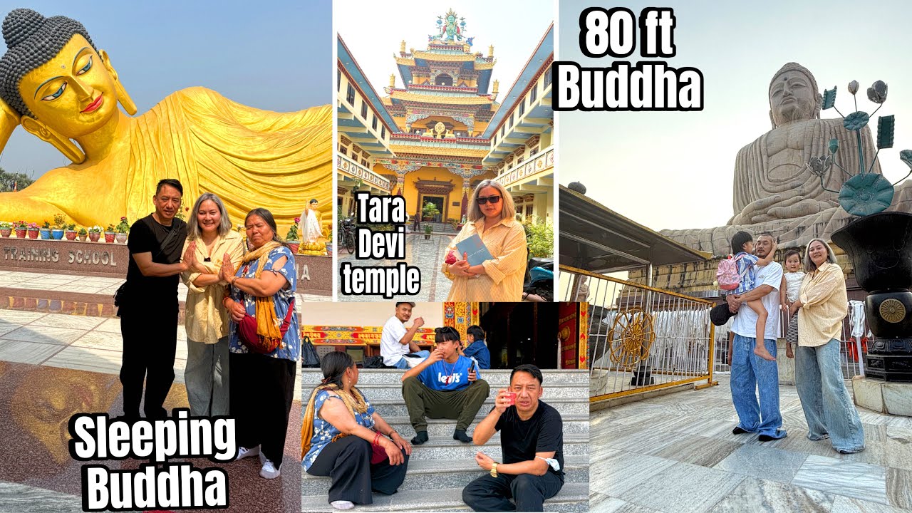 A Blessed Pilgrimage: 80ft  Buddha, Sacred Monasteries & Tara Devi Temple! 🙏✨ #buddha