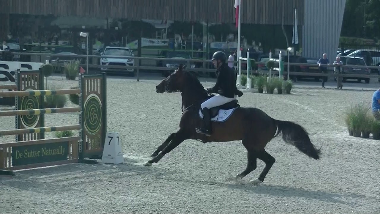 Edinburgh Kwpn Stallion,  Kristian Houwen Ranking 1.45 Sentower Park Belgium