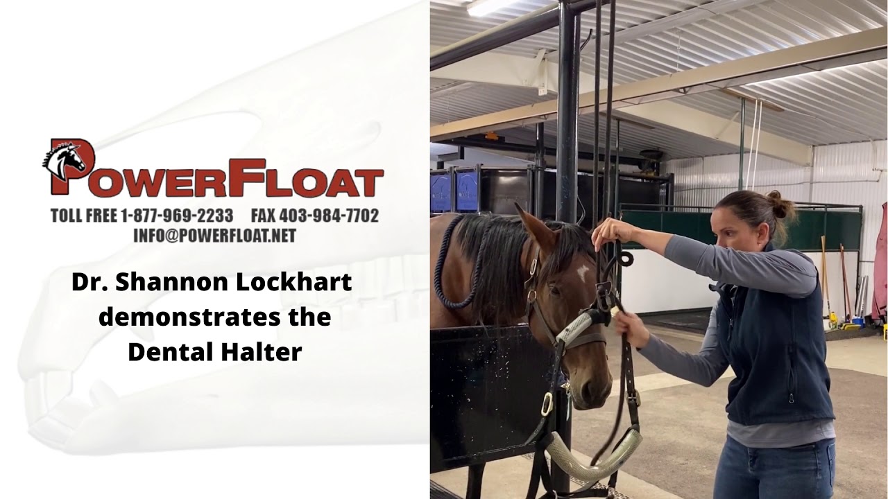 PowerFloat - Dental Halter