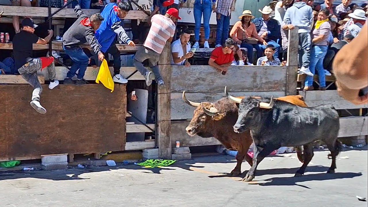 HUAMANTLADA 2024 - Huamantla Tlaxcala