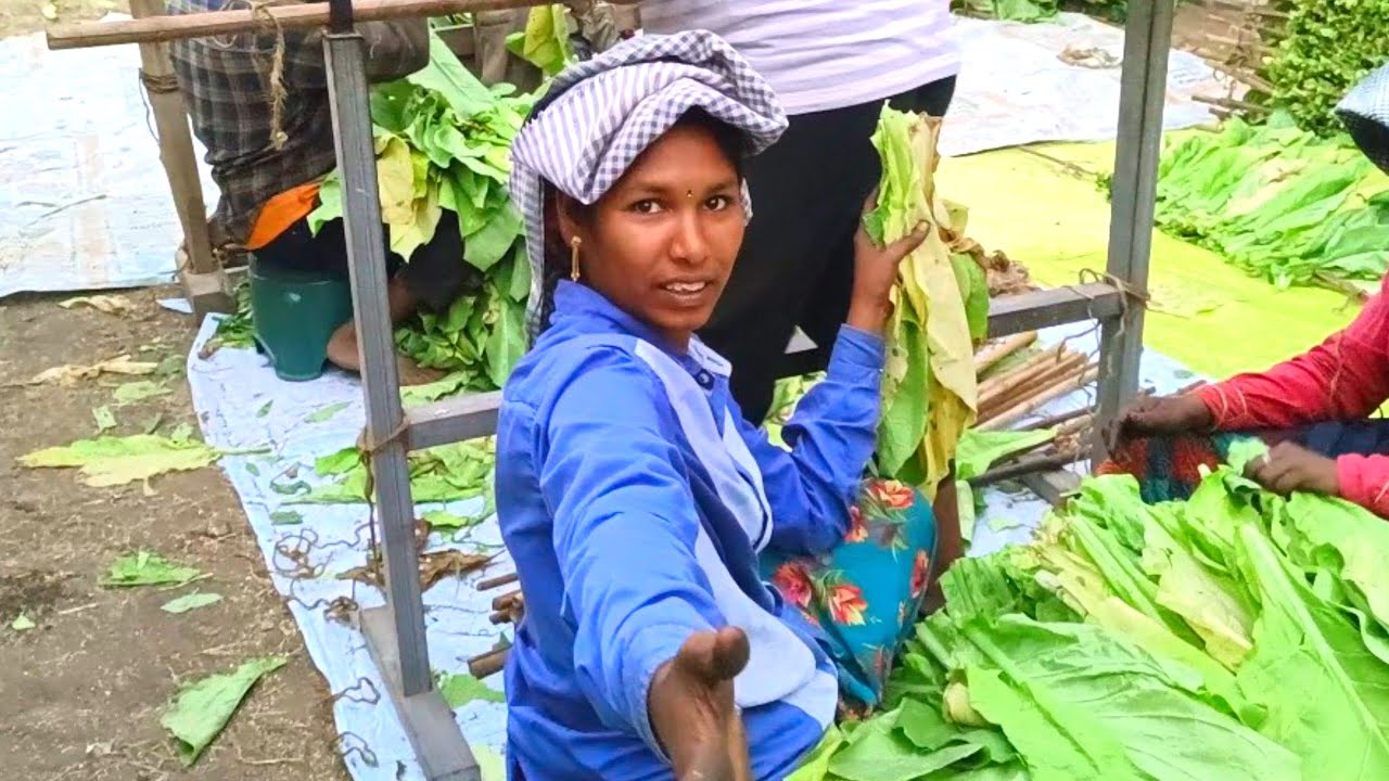 ఈరోజు డబుల్ ఆకుకొట్టు ఇంటికి వచ్చేటప్పటికి రాత్రి 9 లేదా 10 అవ్వొచ్చు..