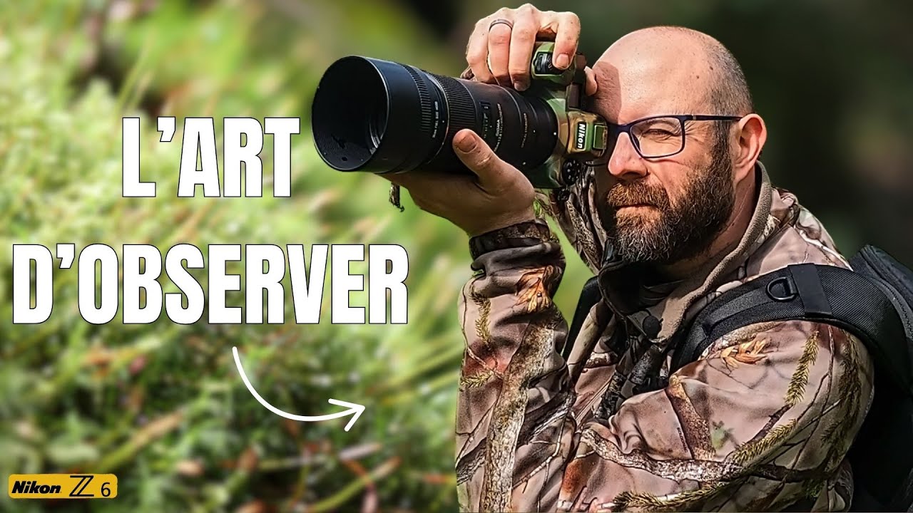 L'Art d'Observer : Photographie dans les Bois avec un Nikon Z6 #photography  #nature #photonature