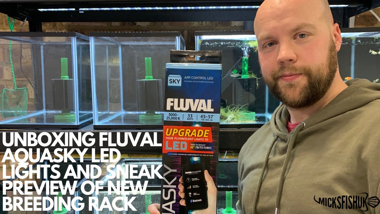 UNBOXING FLUVAL AQUASKY LED LIGHTS & SNEAK PREVIEW OF THE NEW BREEDING RACK