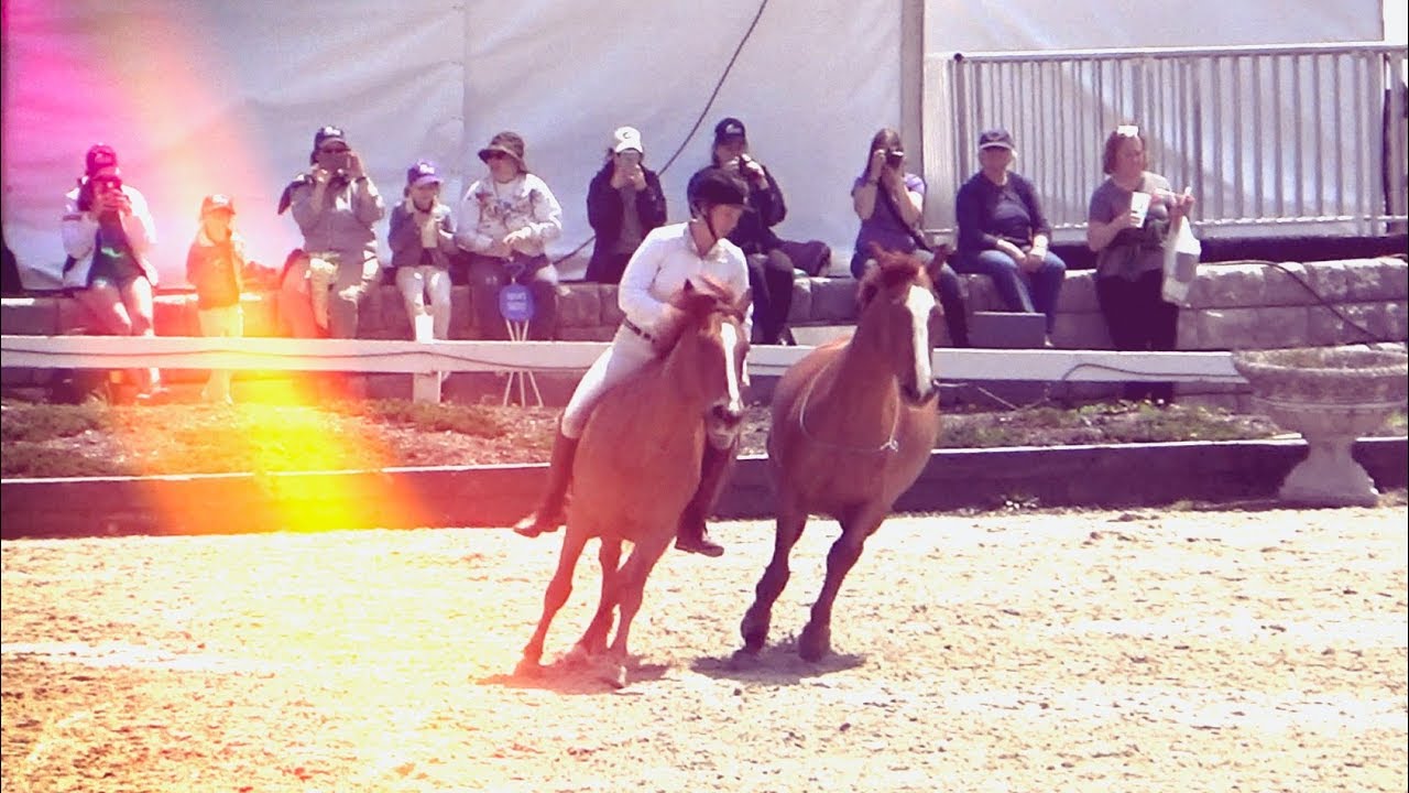 Mustang Demo: 2018 Land Rover Kentucky Three Day Event