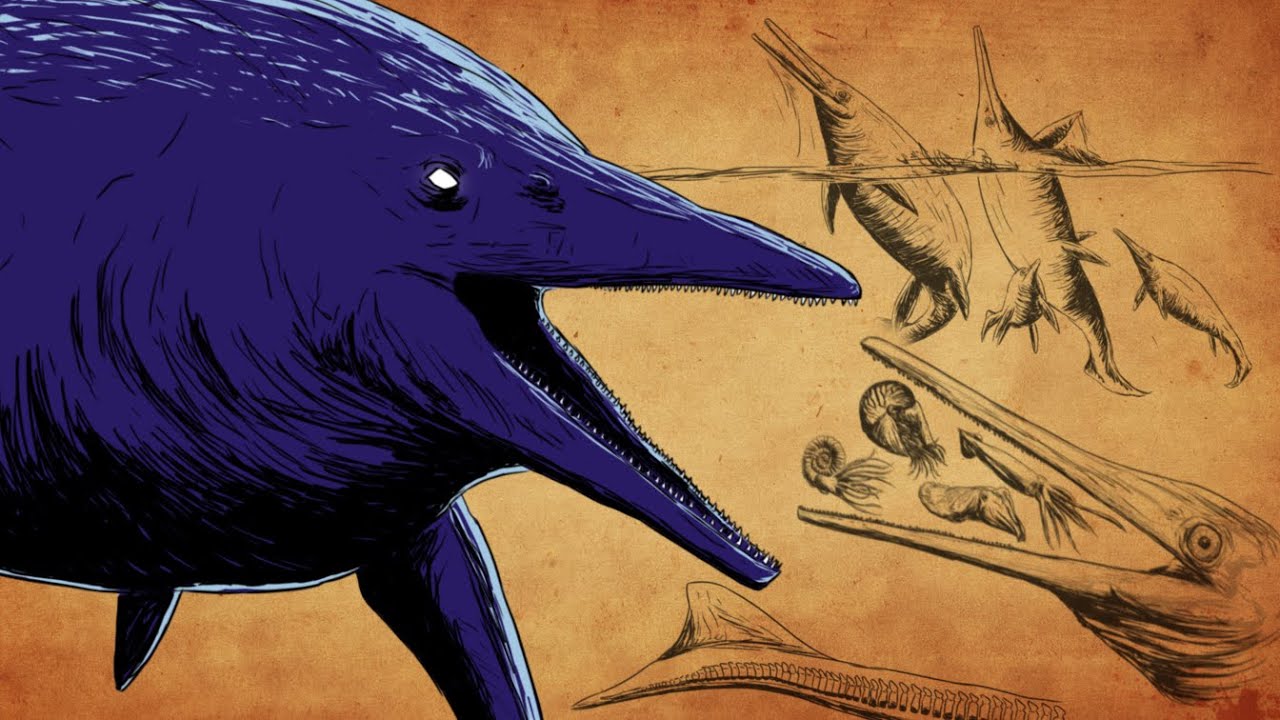 Shonisaurus was BUILT DIFFERENT [PAM 36]