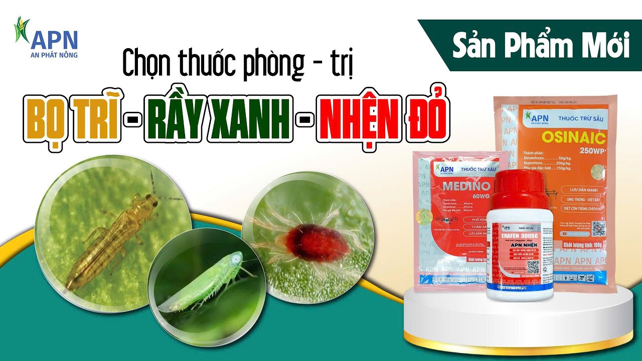 APN - CHỌN ĐÚNG THUỐC PHÒNG TRỊ CÔN TRÙNG CHÍCH HÚT VÀ NHỆN HẠI
