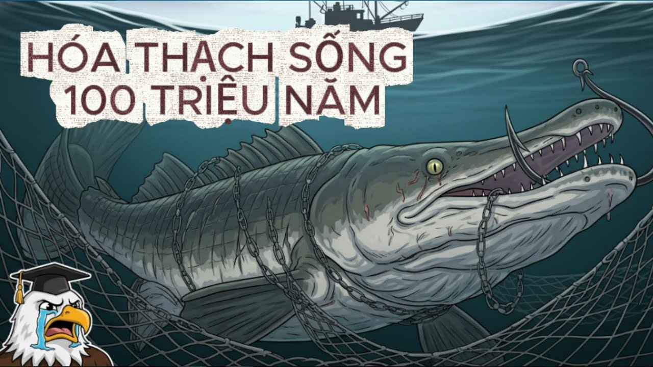 Nếu Bạn Là Cuộc Đời Của Cá Sấu Hỏa Tiễn: HÓA THẠCH SỐNG 100 TRIỆU NĂM