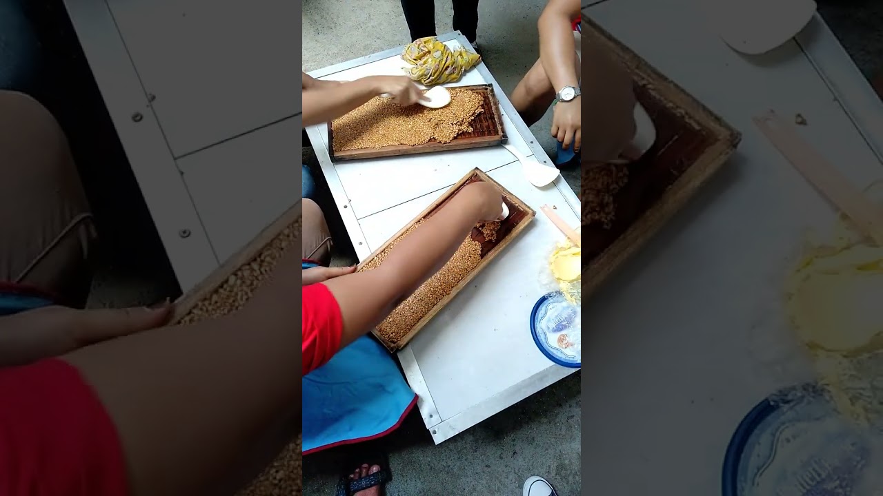 ENTING ENTING KACANG  ! Proses Pembuatan dan Cetak