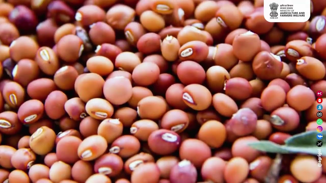Pulses Self-Reliance Mission &ndash; A Strong Foundation for Self-Reliant India
