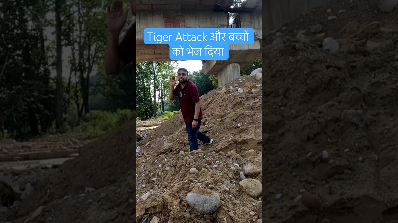 tiger attack jim corbett visit jungle by bike 