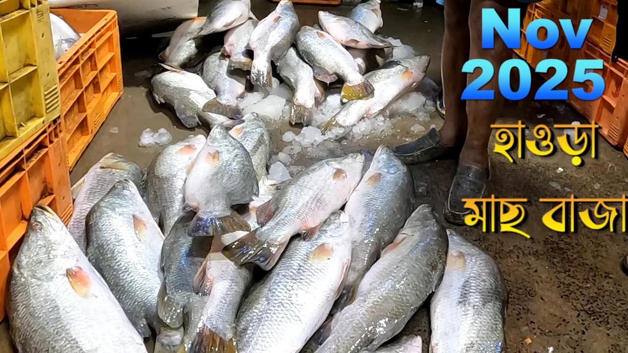 হাওড়ার পাইকারি মাছের বাজার নভেম্বর ২০২৫ || ২০২৫ সালে কলকাতায় মাছের দাম #fish #food