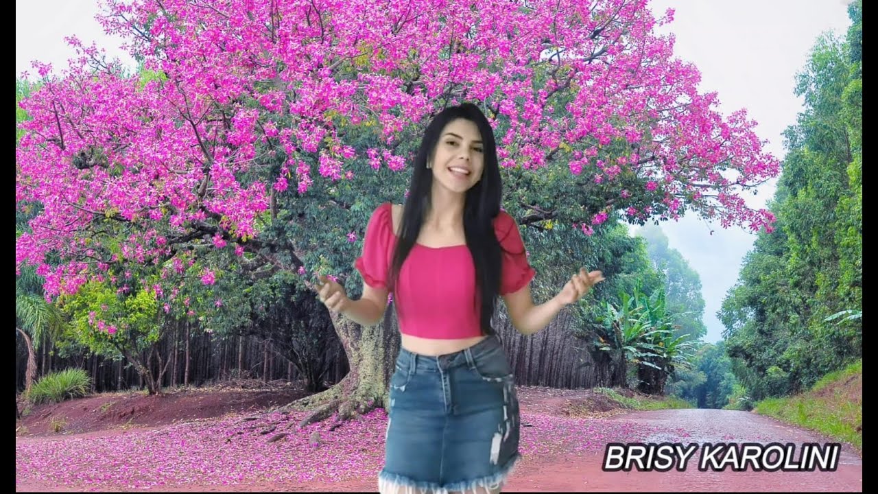 Retalhos De Amor - Brisy Karolini