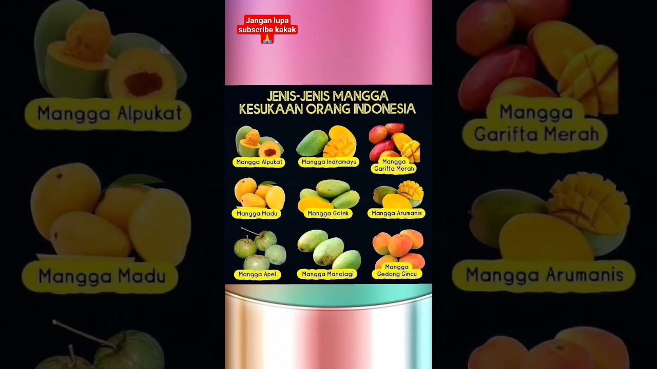 jenis-jenis mangga #education #shortsvideo #fruit #mangga #kesehatan #shortsviral #food #kesehatan