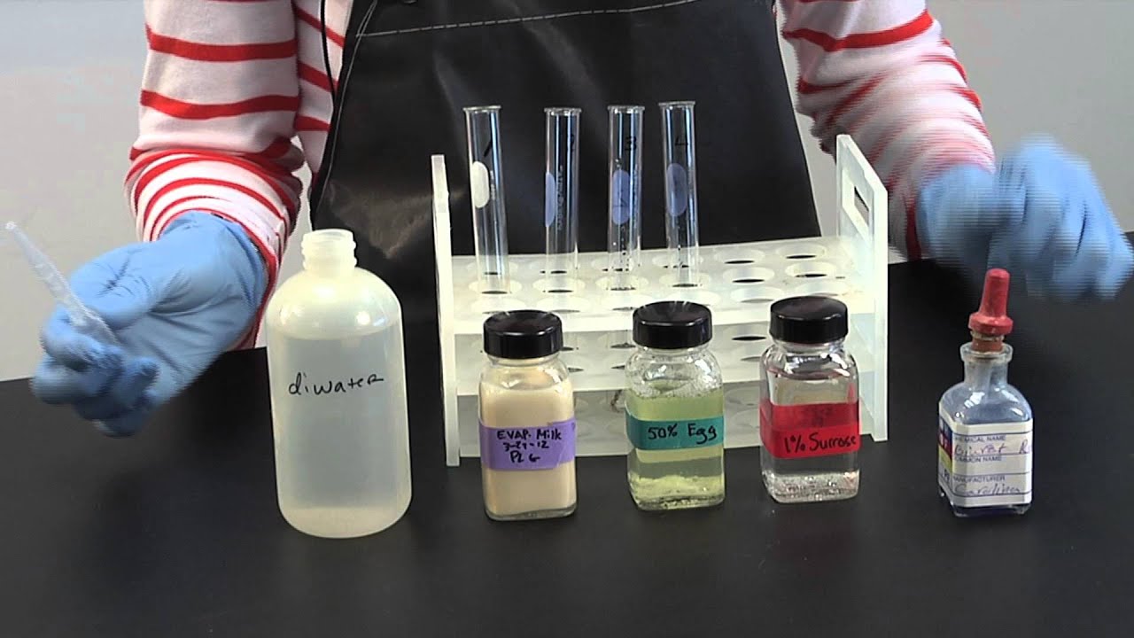 Macromolecule Lab - Proteins and Starches