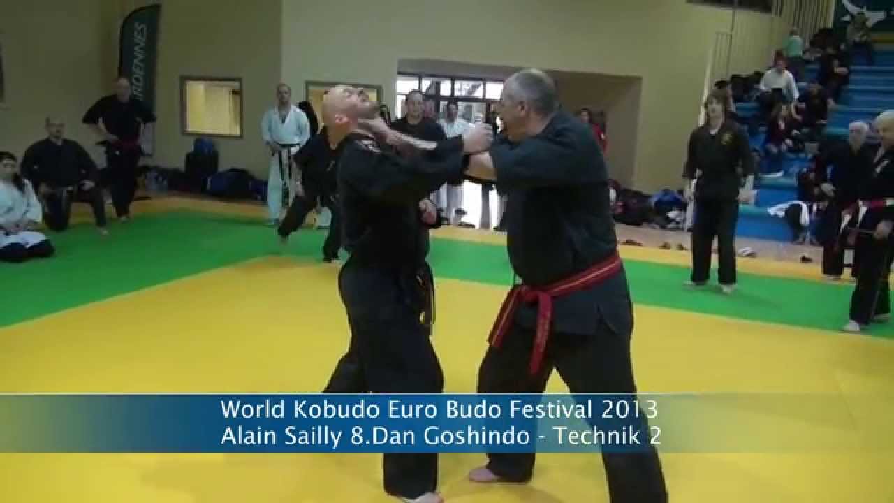 World Kobudo Euro Budo Festival 2013 - Alain Sailly 8.Dan Goshindo Technik 2