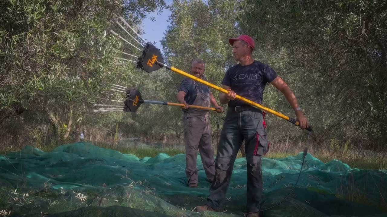 Oliviero Flex Professional Premium