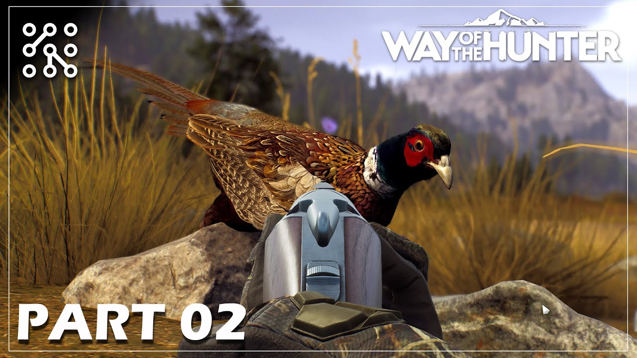 S brokovnic&iacute; na bažanty | Way of the hunter  |  Česky