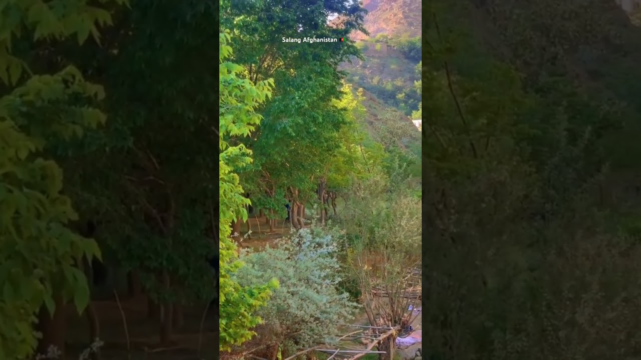 Salang Afghanistan 😍🇦🇫 vs America