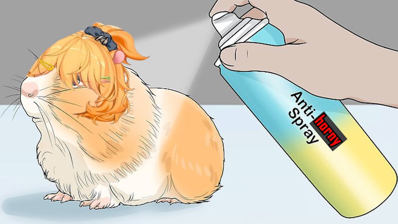 Eimi discovers Phase dakis
