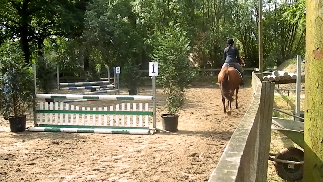 springwedstrijd Stal Eikelboom Maureen en Femke