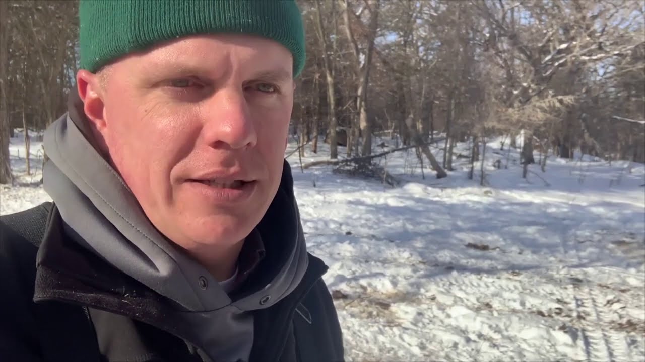 Bale Grazing and Rolling out Hay in the Woods
