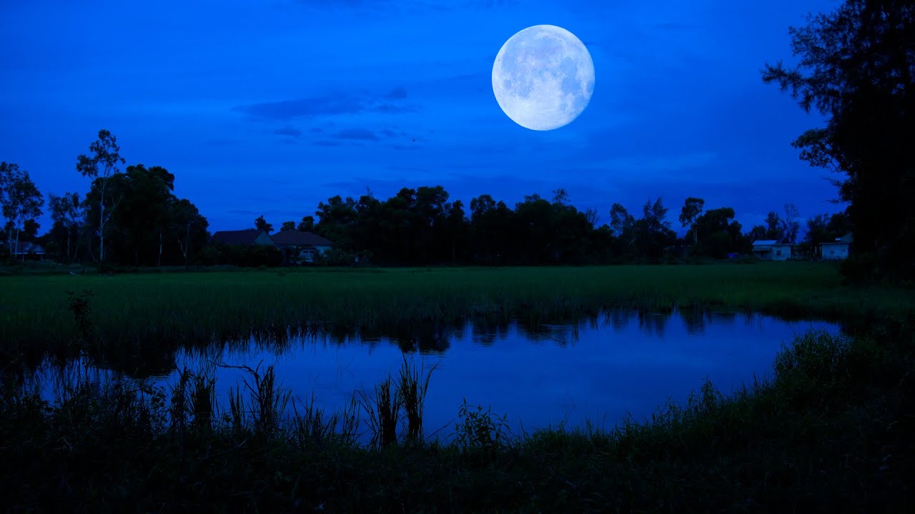 Summer Night Sounds, Swamp Sounds - Cricket for Sleep, 10 Hours, Deep Sleep Nature Sounds