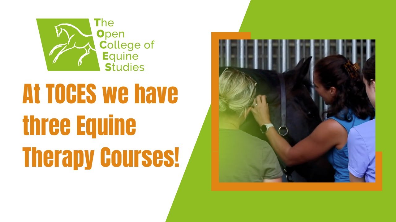 At TOCES we have three Equine Therapy Courses!