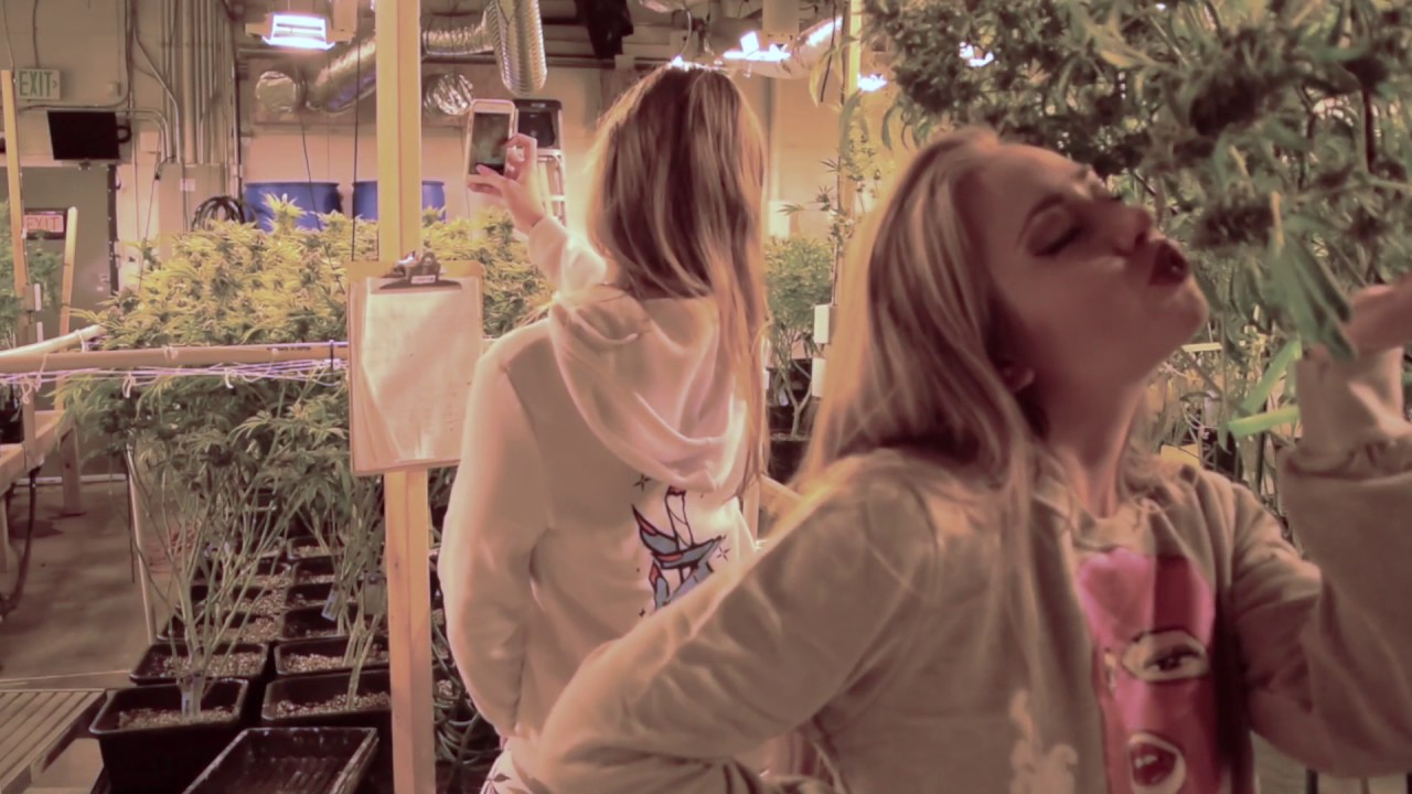 Miss Mary Jane Mannequin Challenge